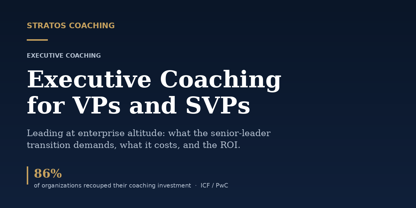 Executive coaching for VPs and SVPs