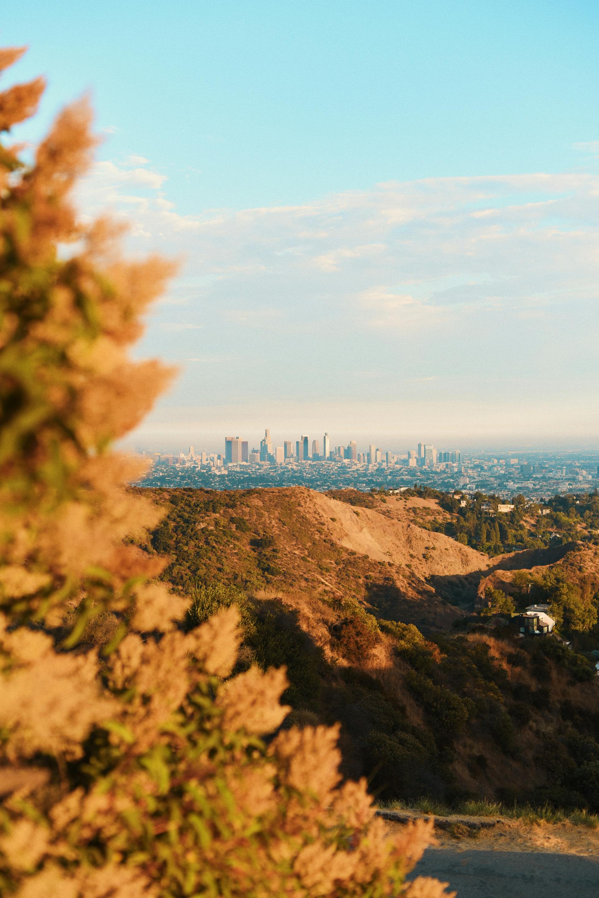 Los Angeles skyline for executive coaching